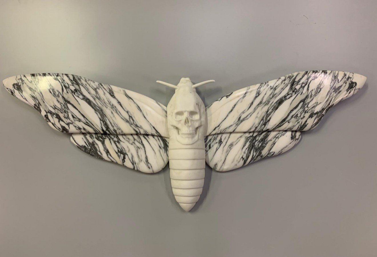 Death Head Hawk Moth